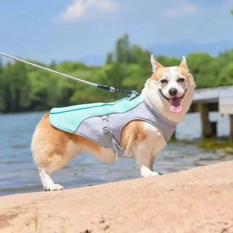 Nivessa Boxer Cooling Vest