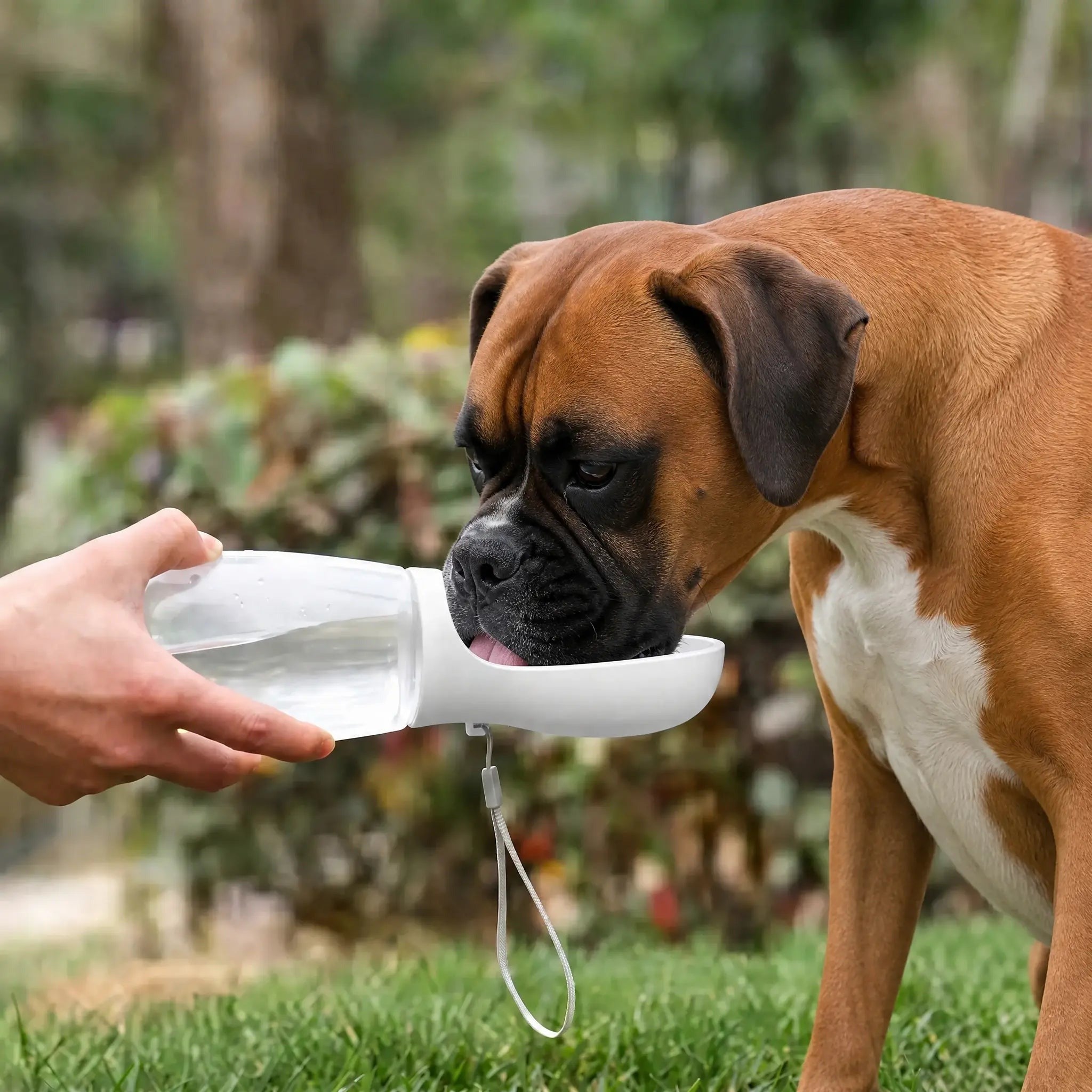 Selected Variant Image